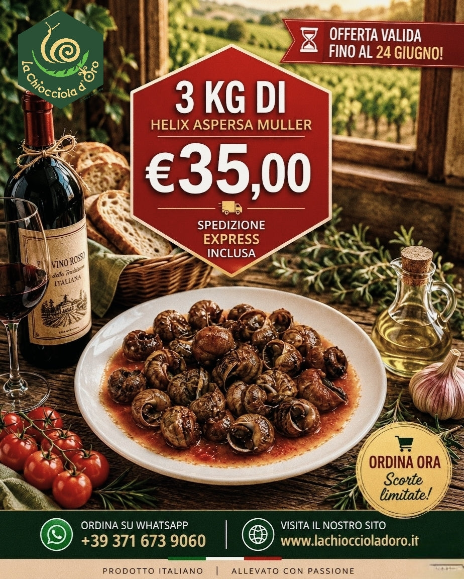 Offerta estiva lumache 3kg Helix Aspersa Muller e Rigatelle a €35,00 spedizione express inclusa - La Chiocciola d'Oro