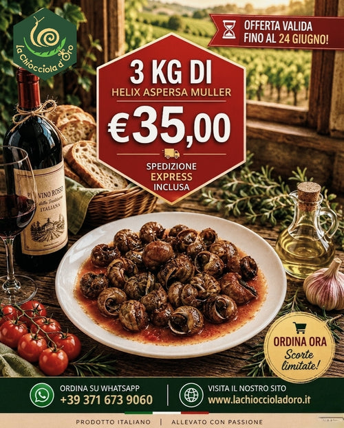 Offerta estiva lumache 3kg Helix Aspersa Muller e Rigatelle a €35,00 spedizione express inclusa - La Chiocciola d'Oro