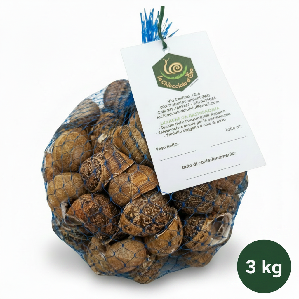 Lumache Helix Aspersa Muller 3kg - Allevamento italiano Castelli Romani
