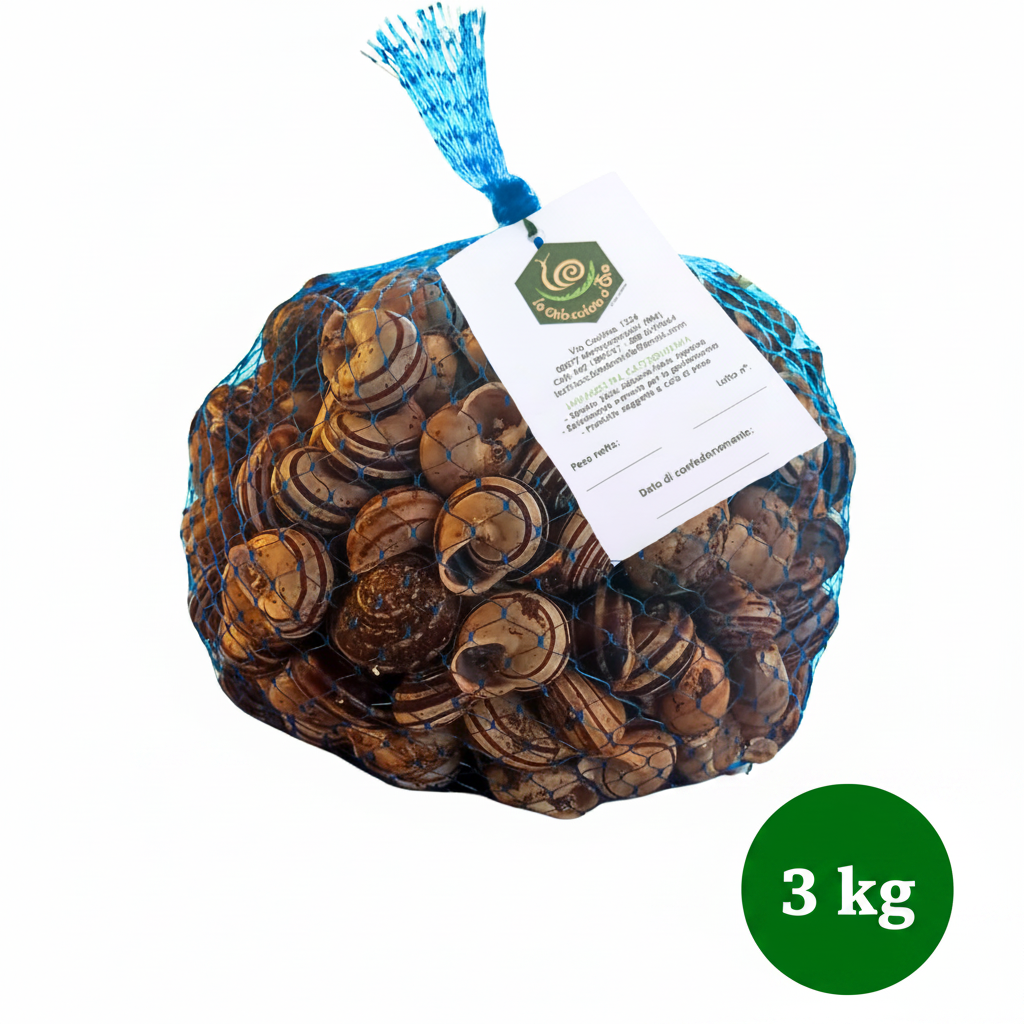 Lumache Rigatelle 3kg - Allevamento italiano Castelli Romani
