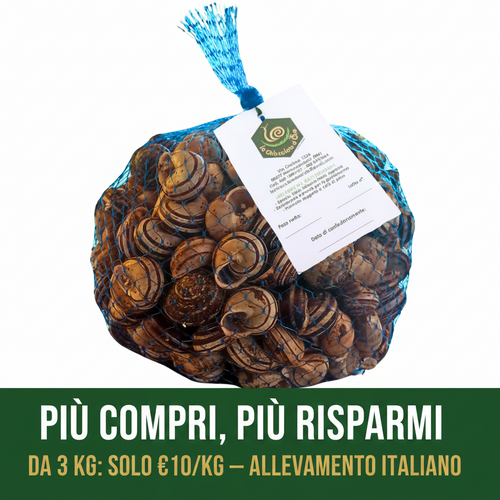 Lumache Rigatelle fresche allevamento italiano Castelli Romani – sacchetto rete – da 3 kg solo €10/kg
