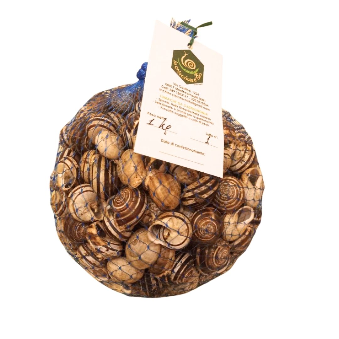 Lumache Rigatelle - Alta qualità 1kg